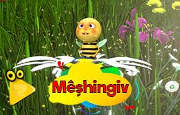 meshingiv