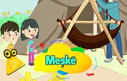 meske_2d