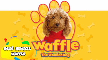 Segê Newaze Waffle