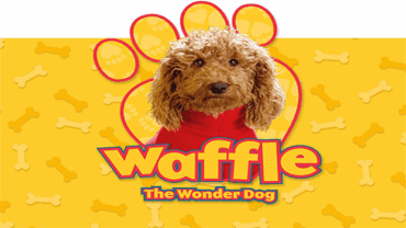 Waffle The Wonder Dog